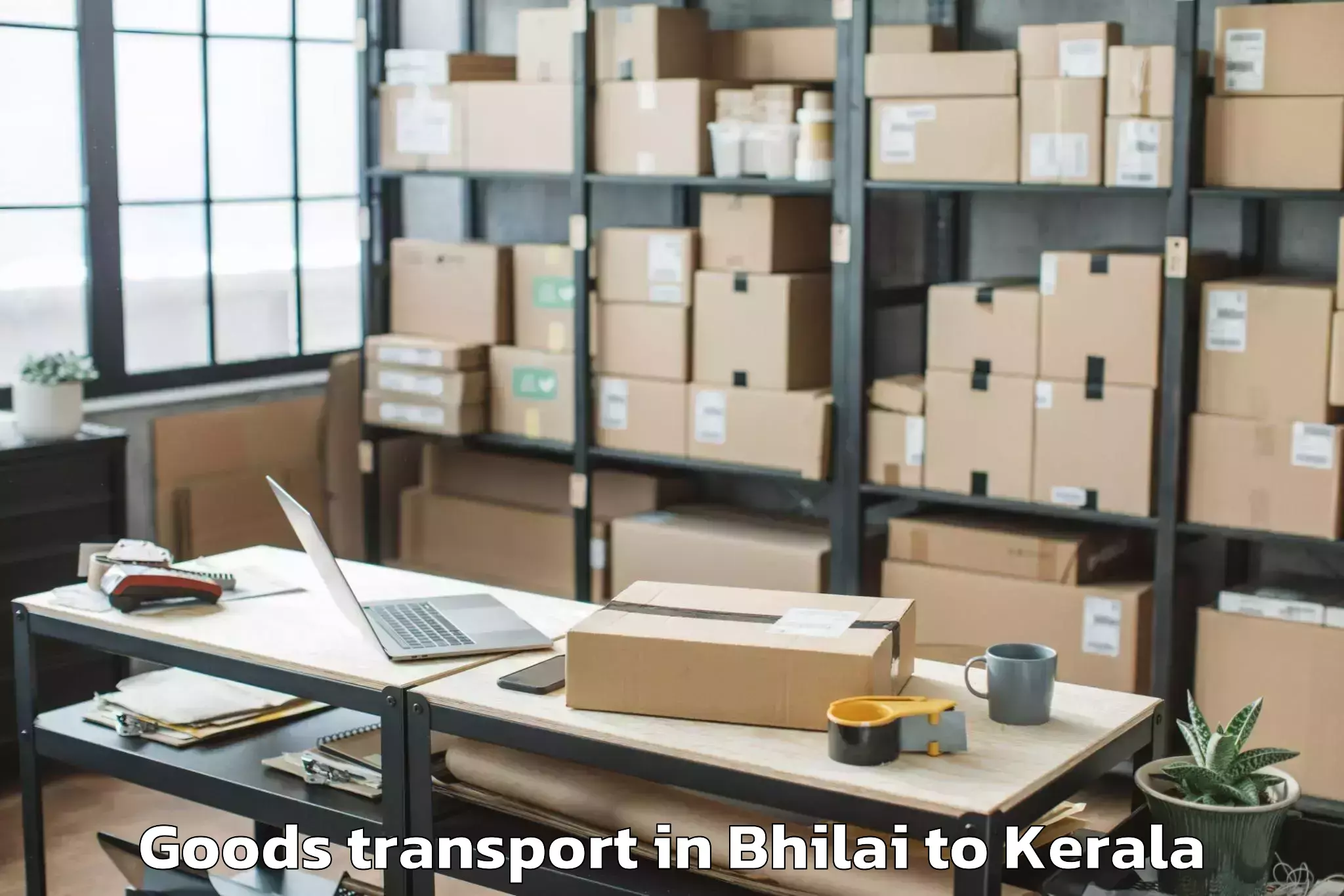 Discover Bhilai to Valavoor Goods Transport